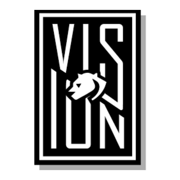 Cheetah Vision